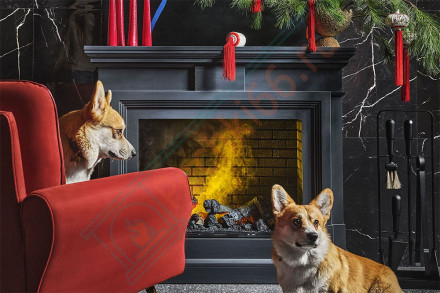 Каминокомплект электрический Coventry - Серый графит / Кирпич с очагом Cassette 600 NH (Dimplex)