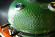Керамический гриль SG с окошком, 57 см / 22 дюйма (зеленый) (Start Grill) в Омске